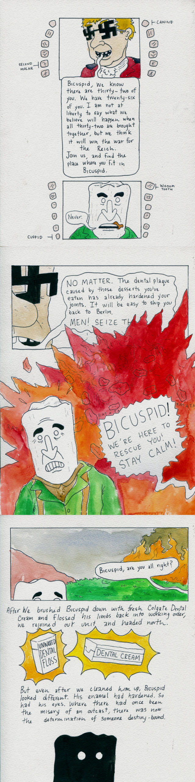 Bicuspid in Operation Dragoon, 2
