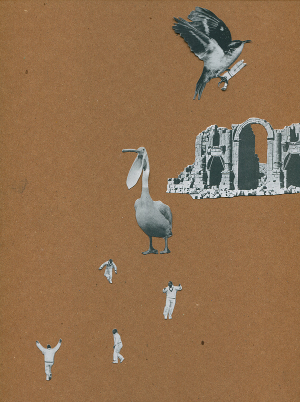 Bird Attack!