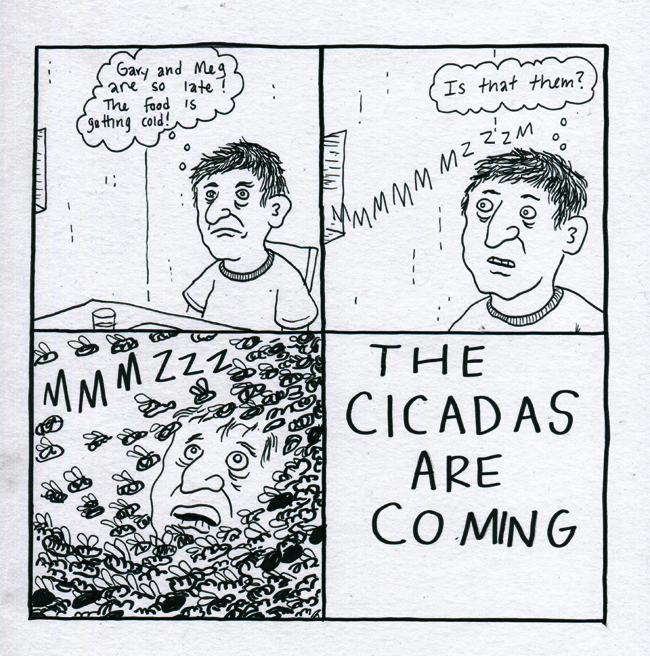 Cicadas