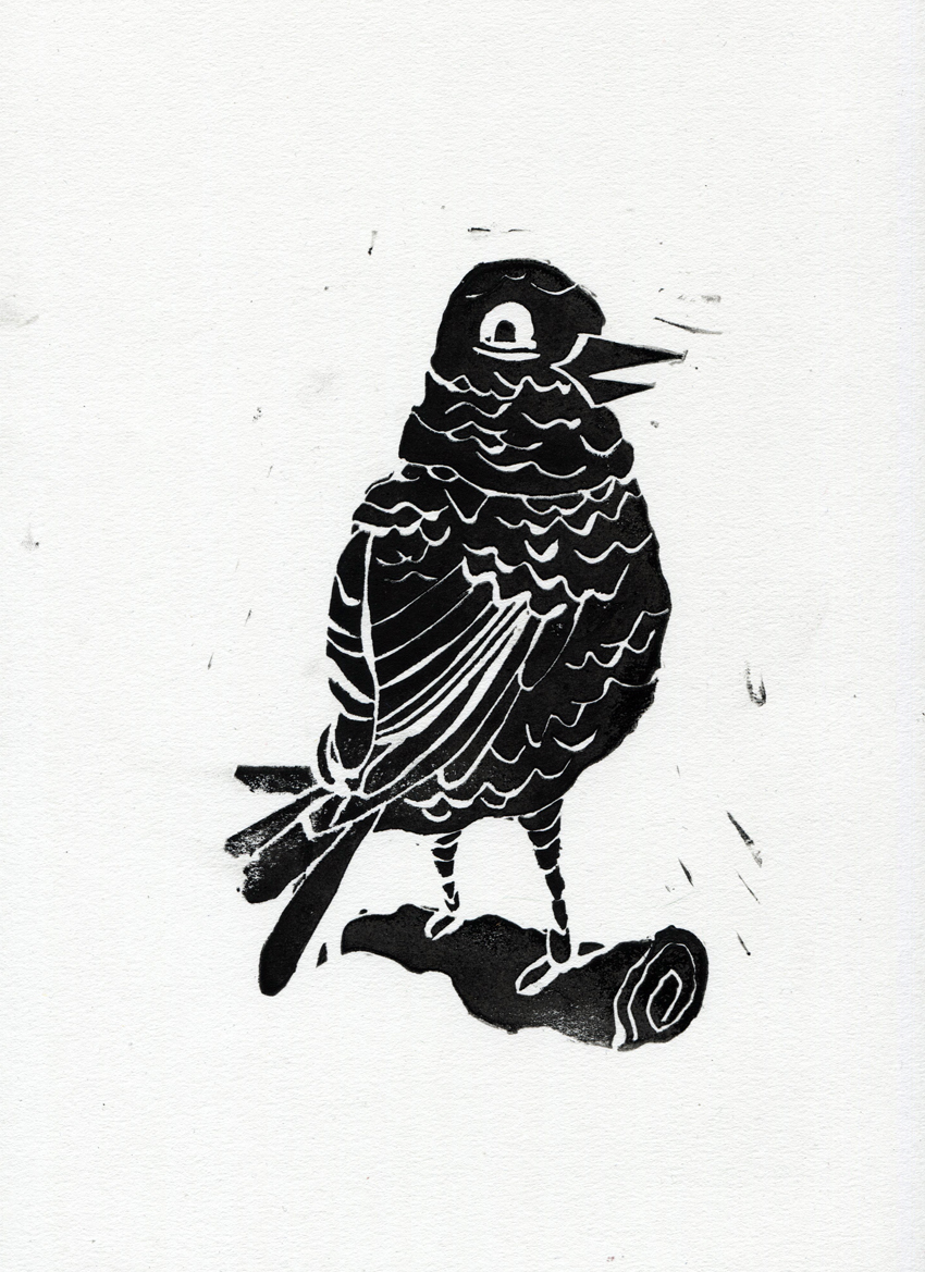 Bird