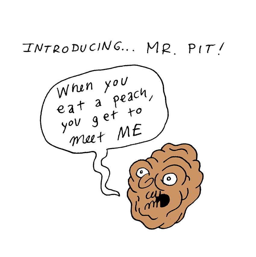 Mr Pit
