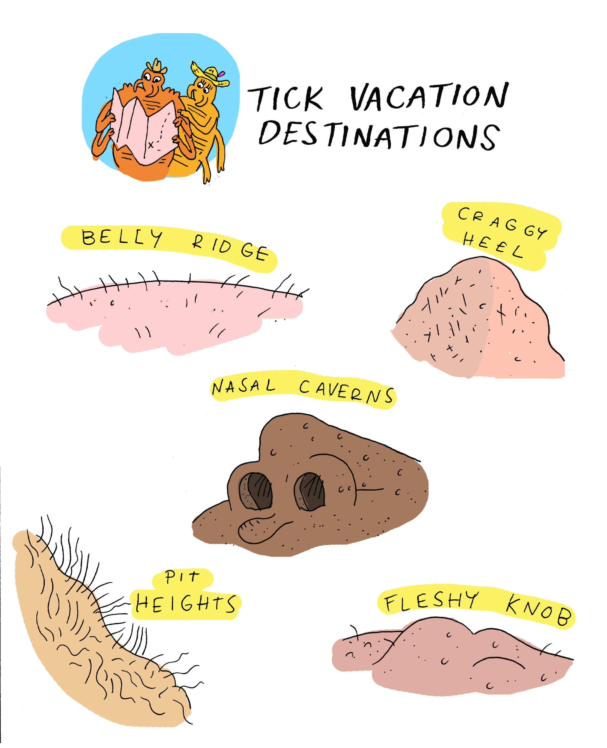 Tick Vacation